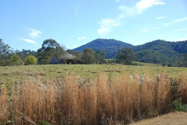 An old timber farmhouse among gum trees, with dry grass in the foreground and wooded hills behind